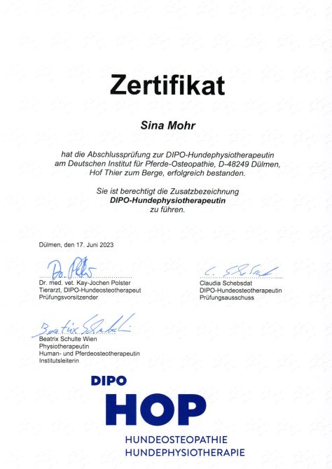 Dipo Zertifikat